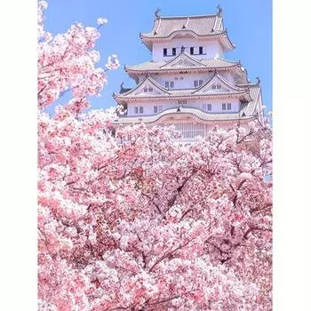 DIY алмазная живопись, вышивка, цветок, Алмазная башня, мозаика, пейзаж, ремесленное украшение дома, подарок 30x40 см/12x16 дюймов 30x40cm NO Frame