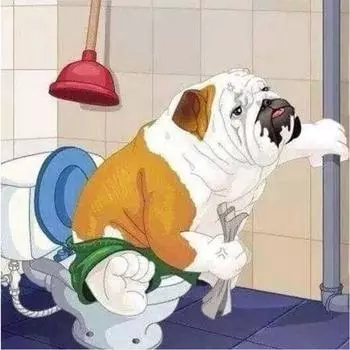 DIY алмазная живопись вышивка крестиком Алмазная 5D Алмазная вышивка бульдог на туалет горный хрусталь мозаика домашний декор 30X30CM