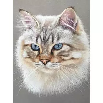 DIY алмазная живопись вышивка крестиком полная дрель Алмазная вышивка Новое поступление горный хрусталь мозаика домашний декор стены 15x20CM