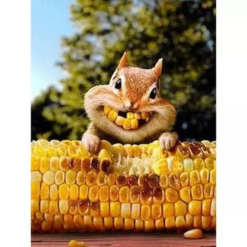 DIY алмазная живопись вышивка крестиком животные Алмазная вышивка белки едят кукурузу домашний декор 20X30CM
