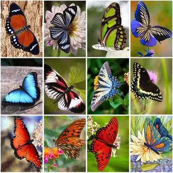 Diy Бабочка 5D алмазная живопись полный круглый дрель цветы пейзаж наборы для вышивки крестом Алмазная мозаика вышивка домашний декор Full Round 20x30CM