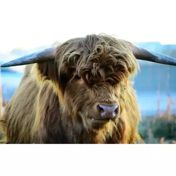 DIY Алмазная картина, вышитая крестом, картина, картина, алмазная мозаика, вышивка, алмаз для декора комнаты 20X30CM