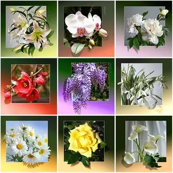 DIY Цветок 5D Алмазная Картина Полная Круглая Дрель Алмазная Вышивка Мозаика Смола Вышивка Крестом Подарок Домашний Декор Настенное Искусство Full Round 20x20CM