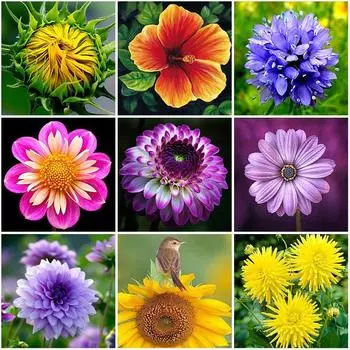 DIY цветок роза 5D алмазная живопись полная круглая дрель Алмазная вышивка крестиком комплект мозаика украшение дома подарок Full Round 20x20CM