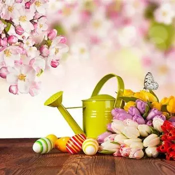 Diy Diamond Живопись Крестиком Цветочные фрукты Круглый бриллиант Искусство Домашний декор 20X30CM