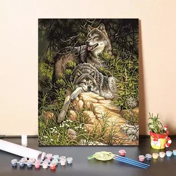 DIY Картина по номерам Цифровая картина маслом Украшение дома Ремесла Хобби Искусство Номера Живопись 40x50cm no frame