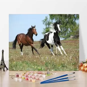 DIY Картина по номерам Цифры Картина маслом Украшение дома Цифровая картина маслом Холст Ручная роспись 40x50cm no frame