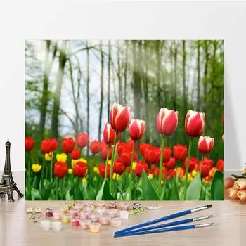 DIY Картина по номерам Цифры Масляная живопись Цифровая живопись маслом Холст Украшение дома Ручная роспись 40x50cm no frame