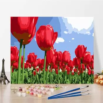 DIY Картина по номерам Искусство Цифровая картина маслом Украшение дома Хобби Номера Живопись Ремесла 40x50cm no frame