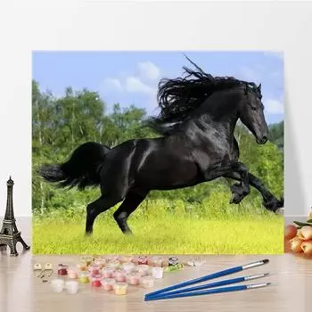 DIY картина по номерам искусство холст цифровая картина маслом украшение дома цифры картина маслом 40x50cm no frame