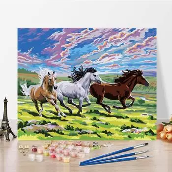 DIY Картина по номерам Ручная работа по номерам Картина маслом Цифровая картина маслом Холст Картина по номерам 40x50cm no frame