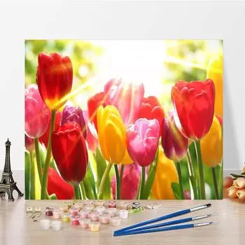 DIY Картина по номерам Украшение дома Ручная роспись Цифровая картина маслом Холст Цифры Картина маслом 40x50cm no frame