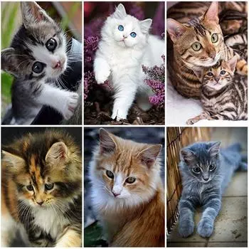 DIY кошка 5D алмазная живопись полная круглая дрель животное Алмазная вышивка крестиком горный хрусталь мозаика комплект украшение дома подарок Full Round 20x30CM