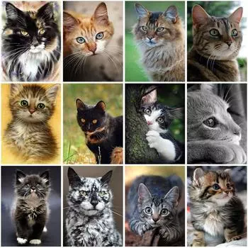 DIY кошка 5D алмазная живопись полная круглая дрель животное Алмазная вышивка искусство горный хрусталь подарок домашний декор набор для вышивки крестом настенное искусство Full Round 20x30CM