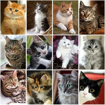 DIY кошка 5D алмазная живопись полная квадратная дрель вышивка крестом животное вышивка горный хрусталь вышивка крестом стены книги по искусству подарок домашний декор Full Round 20x30CM