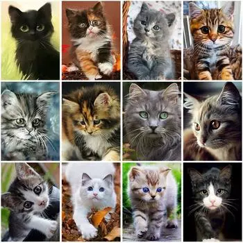 DIY кошка 5D алмазная живопись вышивка крестиком рукоделие полная круглая дрель Смола мозаика Алмазная вышивка домашний декор стены книги по искусству подарок Full Round 20x30CM