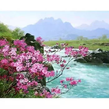 DIY краска по номерам набор для рисования маслом холст DIY картина маслом по номерам настенные художественные украшения для домашнего декора 40x50cm no frame