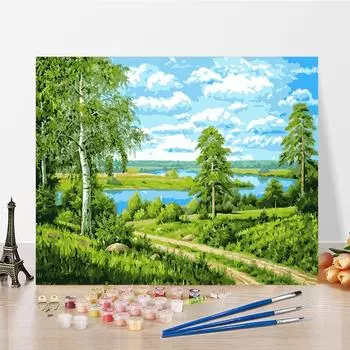 DIY краска по номерам набор для рисования маслом холст DIY картина маслом по номерам настенные художественные украшения для дома подарок искусство и хобби 40x50cm no frame