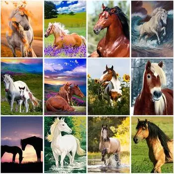 DIY лошадь 5D алмазная живопись полная круглая дрель горный хрусталь картина животное Алмазная вышивка мозаика домашний декор настенный художественный подарок Full Round 20x30CM