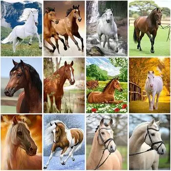 DIY Лошадь 5D алмазная живопись полная круглая дрель животное Алмазная вышивка крестиком мозаичные наборы Смола стены книги по искусству домашний декор Full Round 20x30CM