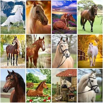 Diy Лошадь 5D алмазная живопись полная круглая дрель вышивка крестиком горный хрусталь животное живописная Алмазная вышивка мозаика домашний декор Full Round 20x30CM