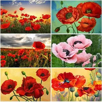 Diy Маковый пейзаж 5D алмазная живопись полный круглый дрель мозаика Пейзаж Алмазная вышивка цветок вышивка крестиком Рождественский подарок Full Round 20x30CM