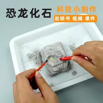 DIY Окаменелости динозавров Копание скелетов Копание археологических драгоценностей Детский научный эксперимент Окаменелости динозавров Самодельные учебные материалы белый/лаймовый