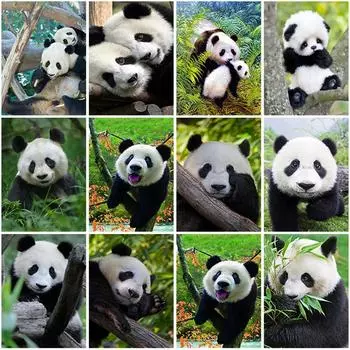 DIY Панда 5D Алмазная картина Полный круглый дрель Животное Алмазная вышивка Крестиком Мозаика Наборы Искусство Домашний декор Full Round 20x30CM
