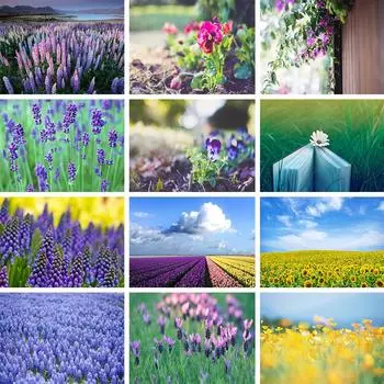 DIY пейзаж алмазная живопись картина полная алмазная вышивка набор крестиков 5D мозаика горный хрусталь картина домашний декор подарок Full Round 20x30CM