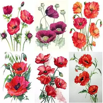 DIY полный круглый 5D алмазная живопись Пейзаж Цветочный Алмазная вышивка Мозаика вышивка крестиком цветок мака домашний декор подарок Full Round 15x20CM