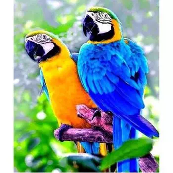DIY птица 5D алмазная картина полная круглая дрель стразы птицы алмазная вышивка крестом мозаика настенное искусство подарок домашний декор Full Round 20x30CM