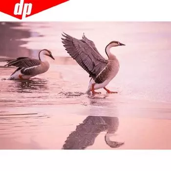 DIY Вышивка крестиком Животное Голубь Алмаз Мозаика Бриллиантовая вышивка Полный дисплей Бриллиантовая живопись 20X30CM