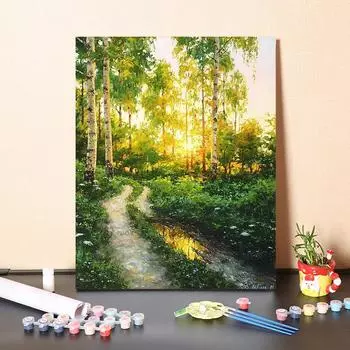 Картина для раскрашивания по номерам 40x50cm no frame