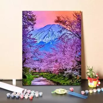 DIY живопись по номерам цифровая картина маслом хобби номера живопись изобразительное искусство картина маслом украшение дома номера картина маслом 40x50cm no frame