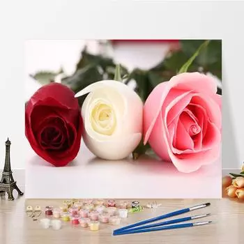 DIY Живопись по номерам Цифровая живопись маслом Хобби Изобразительное искусство Живопись маслом Домашнее украшение Цифры Живопись маслом Цифровая живопись 40x50cm no frame