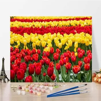 DIY Картина по номерам Украшение дома Ручная роспись Цифровая живопись маслом Цифры Картина маслом на холсте 40x50cm no frame