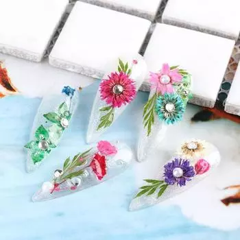 Дизайн ногтей сушеные цветы уникальные изысканные пластиковые консервированные наклейки для ногтей для маникюрного салона #1