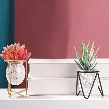 Для дома гидропонная ваза для растений Террариум ваза для цветов стеклянные контейнеры Nordic Art Hot Retro C