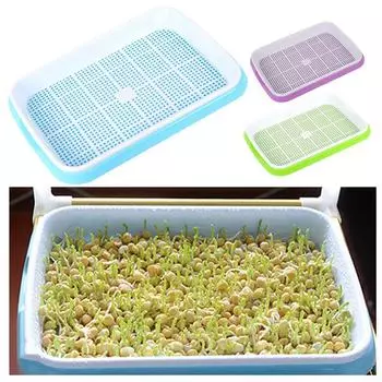 Для проращивания нужен лоток, который легко чистить. синий