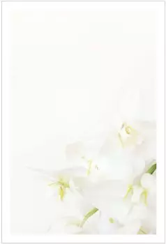 Для выражения соболезнования 10 экземпляров дизайна только с новой почтовой пересылкой Официальные почтовые открытки от Alpha Print Service Траур зимняя смерть благодарность простые случаи,