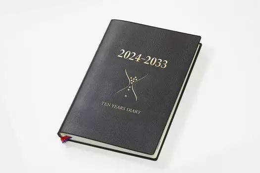 Дневник издательства Ishihara 2024 Дневник Ishihara 10 Year B5 Темно-коричневый N102401