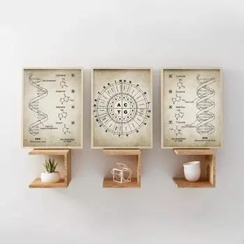 ДНК и РНК генетический код, настенная живопись на холсте, печать, генетика, настенный декор, постеры, наука, биохимия, студенческий подарок, винтажный 21x30cm No Framed