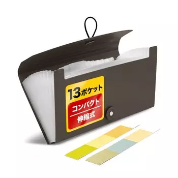 Document file managing pockets are Name label included Thin and portable 26cm 14cm Receipt slip storage file [SIMPS] (13 pockets) ``For