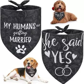 Dog Bandana Personalised 2 Pack Pet Bib Bandana Scarf for Wedding FestivalCat and Dog Accessories Bow Ties for Dogs Pet Supplies 62 42 42cm