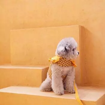 Dog Boutique Набор поводков с оборками для собак, нагрудный ремень, принадлежности для прогулок, желтый