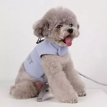 Dog Boutique Шлейка для собак, комплект одежды, поводок для поводка, нагрудный поводок, товары для прогулок, небесно-голубой