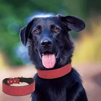 Dog Cat PU Leather Collar Adjustable Kitten Puppy Necklace Pet Accessories M чёрный