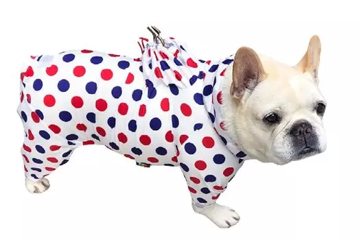 Dog Clothes VERY Stretch Full Cover Raincoat 4 Leg Type Size 5 Small Dog Dog Wear