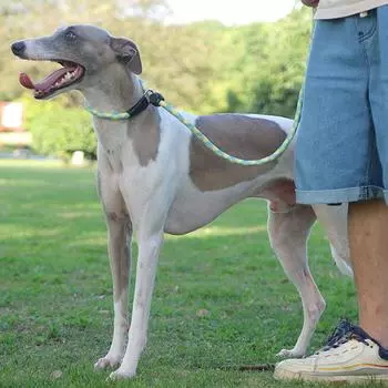 Dog Collar Dog Leash P Chain Slip Rope Leads Leash Pet Puppy Nylon Rope Adjustable Loop Collar Slip Lead for Training Large Dogs чёрный