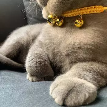 Dog Cute Collar Braid Drawstring Collar Bell Pet Collar Handmade Woven Cat Collar Cat Bell Collar Pet Decor красный